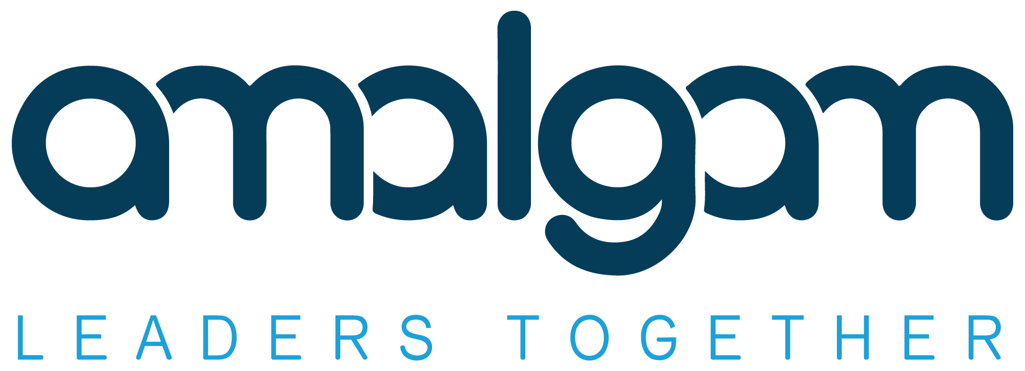 Amalgam - Leaders Together